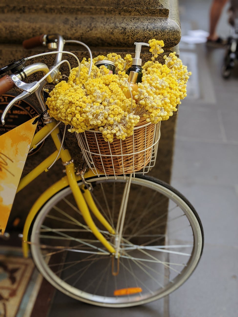 yellow flowers in brown woven basket on bicycle