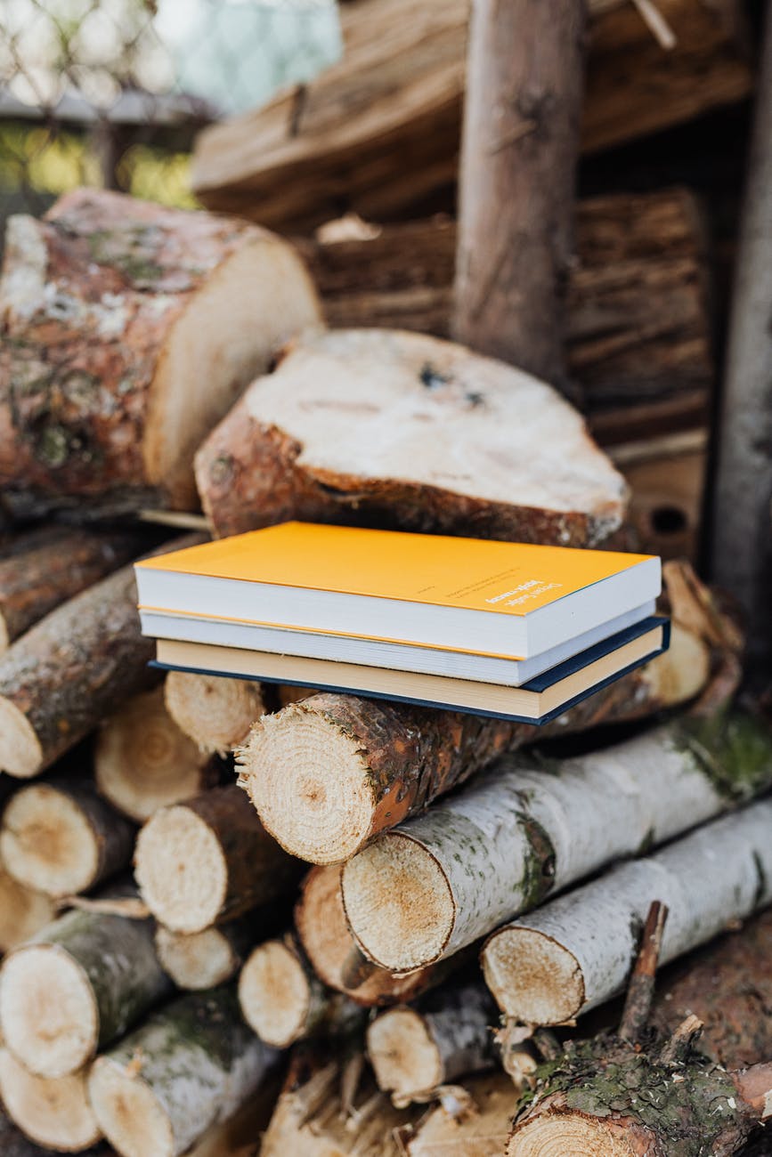 small stack of books placed on fuelwood pile