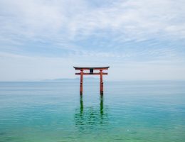 shinto shrine in blue lake in japan